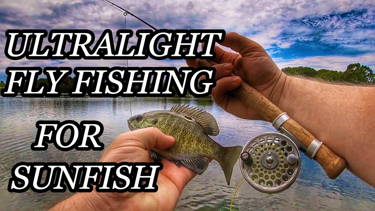 ULTRALIGHT FLY FISHING for sunfish