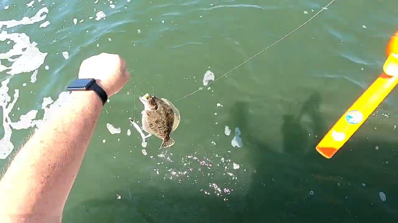 B Stav Mini Rod Challenge Results - Fluke Fishing