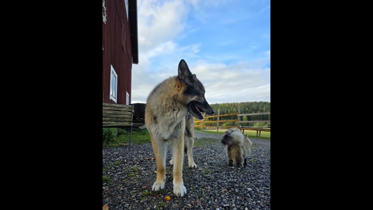 luukku 8