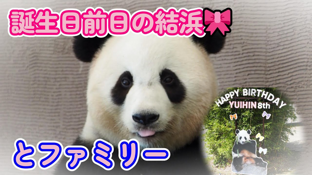 【結浜の誕生日前日は変わらずマイペースと妹達やママ】