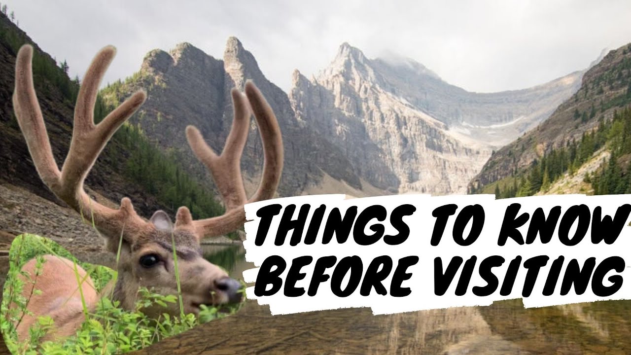 How to Travel Banff National Park | Moraine Lake | Lake Louise | Banff in 3 Days