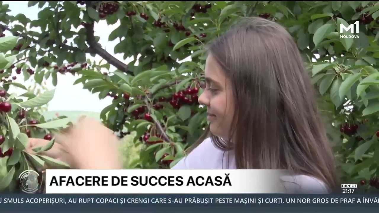 Familia Valac din Codreanca a investit banii acasă - &icirc;ntr-o livadă cu cireși, vișini, pruni și caiși