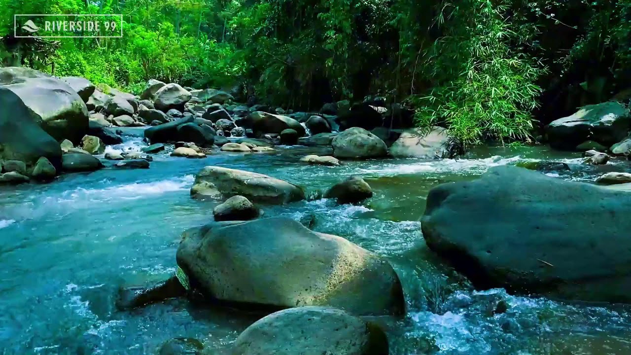 River Sounds for Sleeping Instantly with Clean River Water Ambience