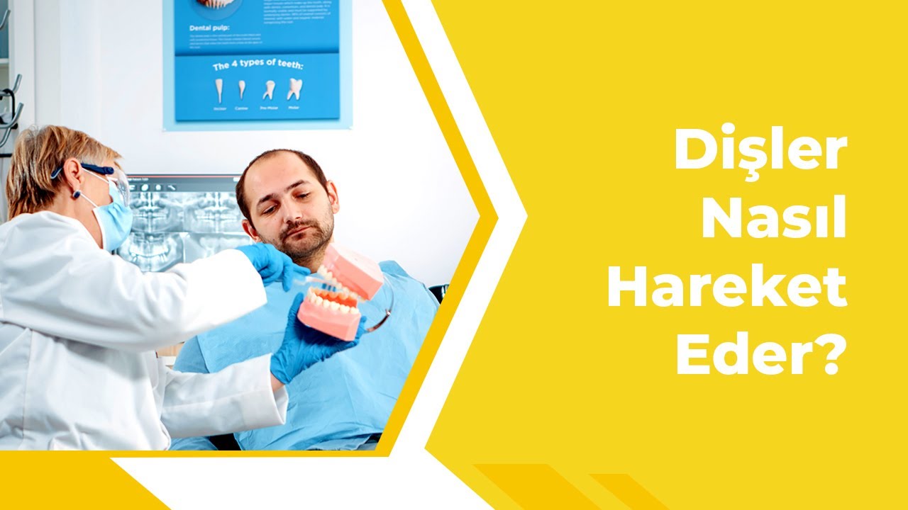 Dişler Nasıl Hareket Eder?
