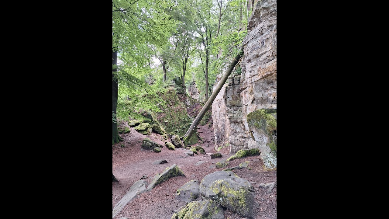 Durch die Eifel | Tag 2 |Über Mythen und Märchen 🧚🏼‍♀️ 🧚🏼