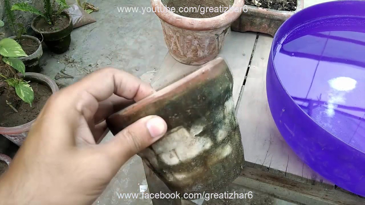 How to Clean Pots | How to Clean Terracotta Pots | Clay Pot | Easy Clean (Urdu/hindi)