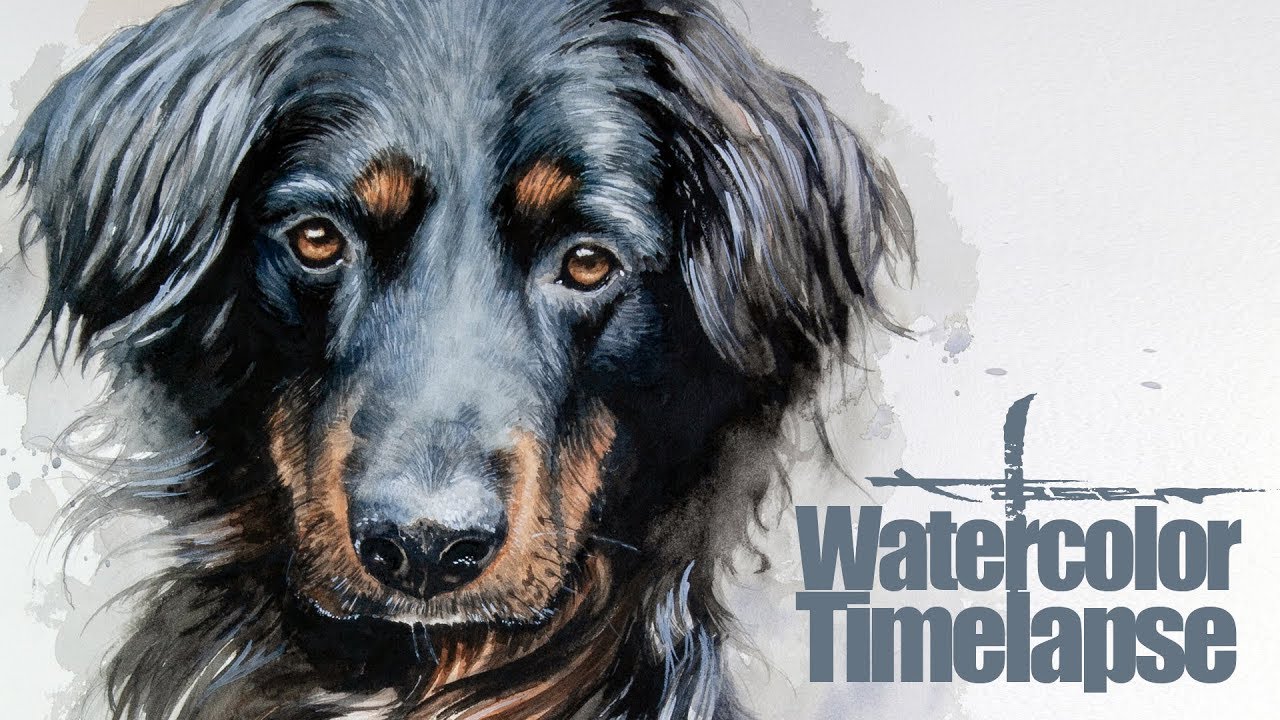 Watercolor [Speed painting - Timelapse]  Dog Portrait - Emil - Border Collie / Labrador Mix