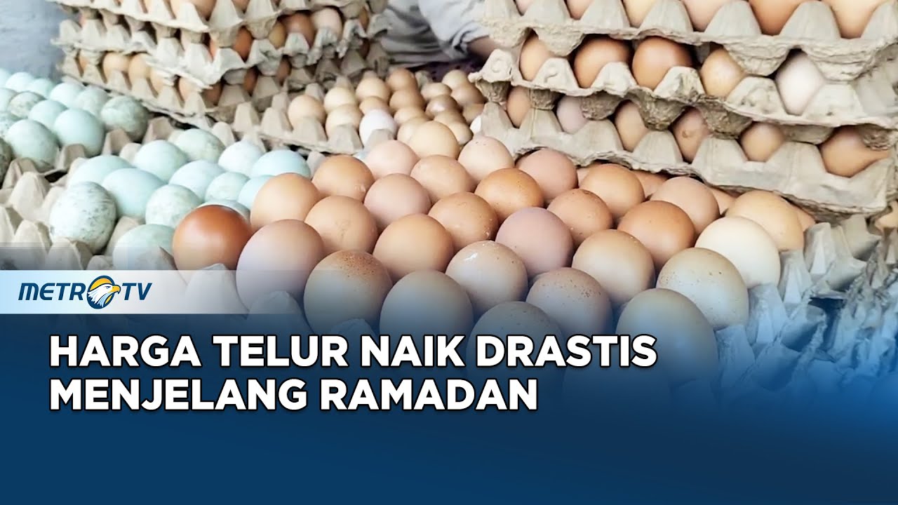 H-10 Ramadan, Harga Telur Meroket Sampai Tembus Rp 60 RIbu/Kg