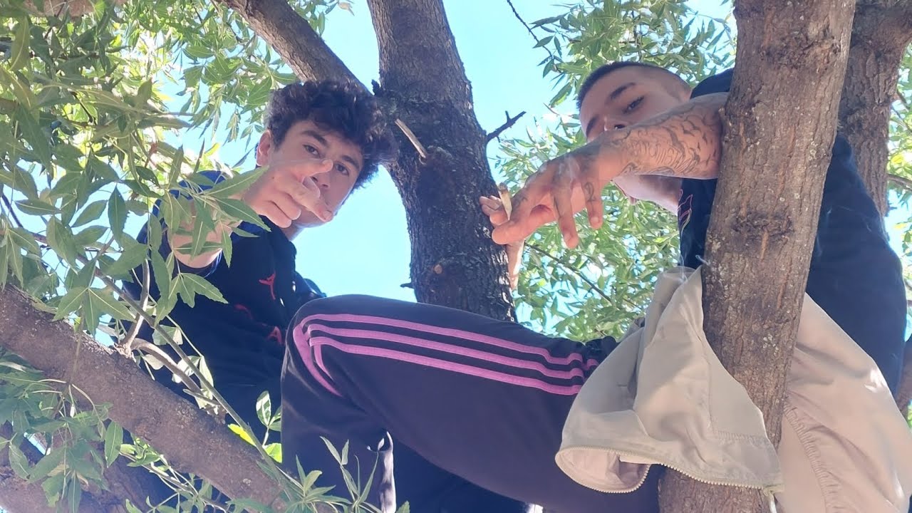 AMERICAN SPIRIT - ARDO440 (Prod. 1ruubthat)