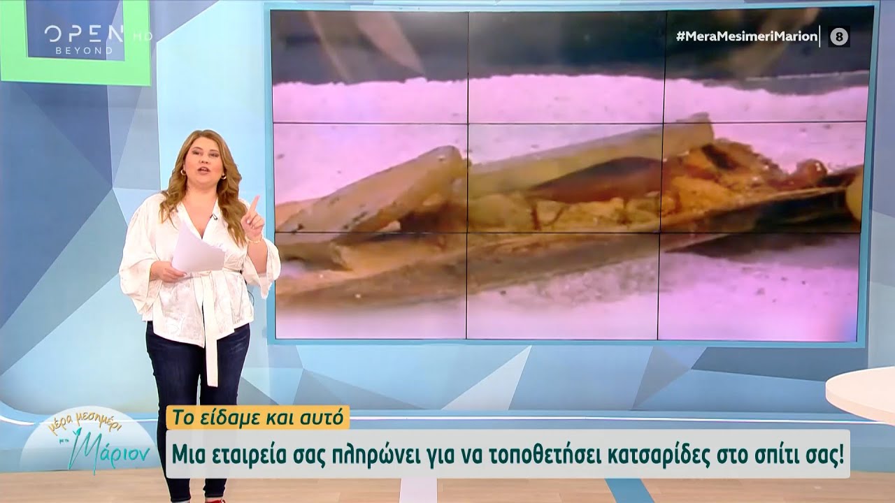 Μια εταιρεία σάς πληρώνει για να τοποθετήσει κατσαρίδες στο σπίτι σας | Μέρα μεσημέρι με τη Μάριον