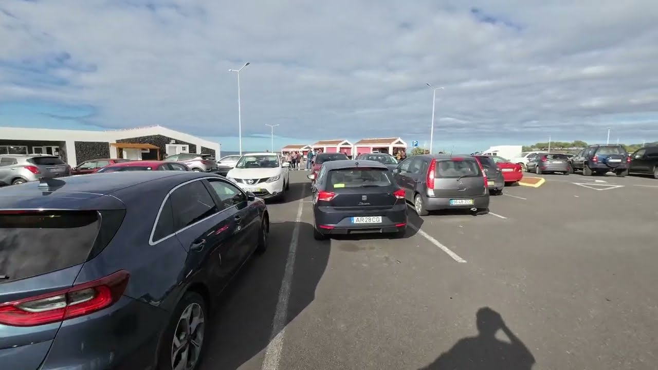 Passeio em dia de sol