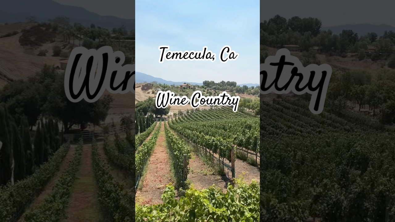 Wine Country House For Sale - Temecula, Ca #temecula #winecountry #realestate #dreamhome