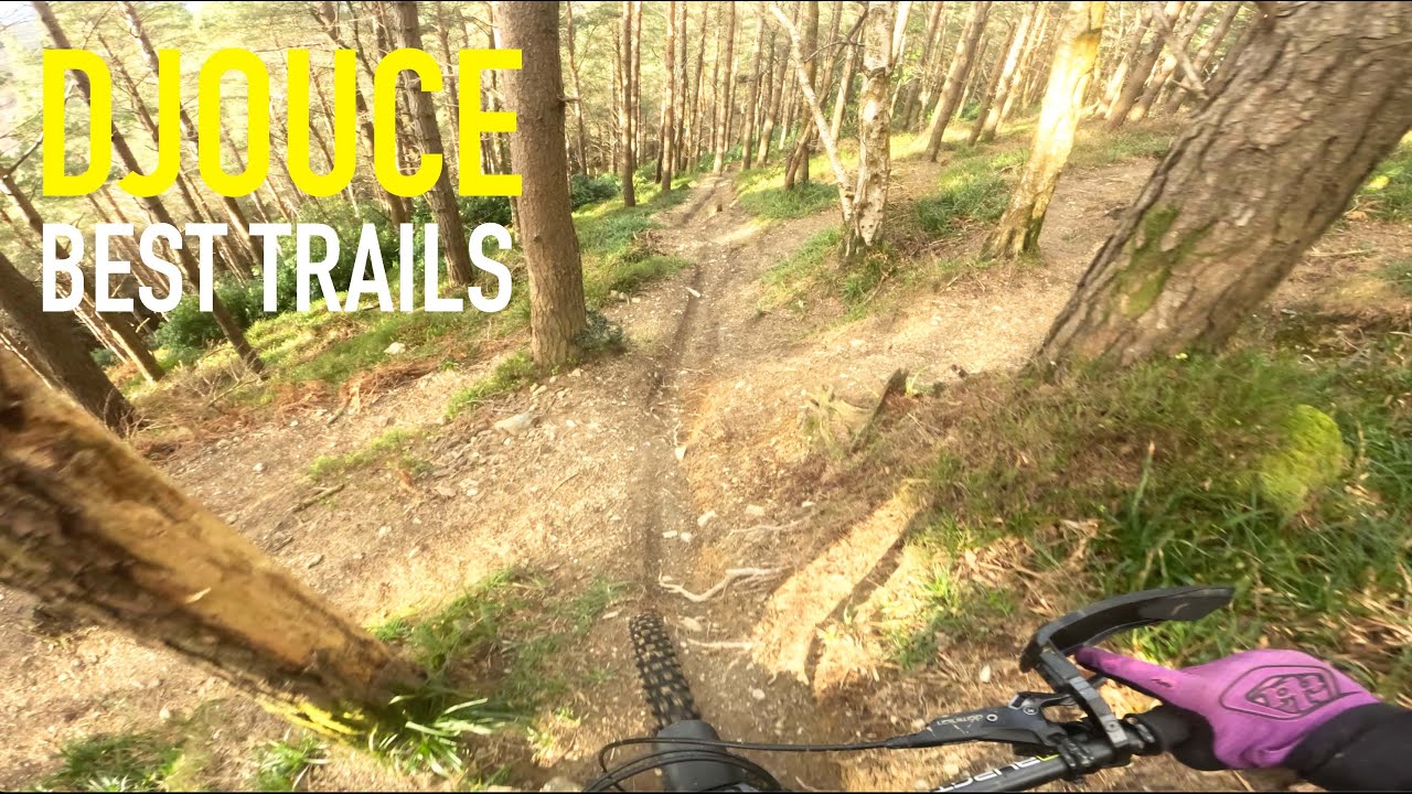 Djouce MTB Trails: POV Ride Down Dutch Gold, Ricky Bobby, Badgers, Phantom & More Favorites!