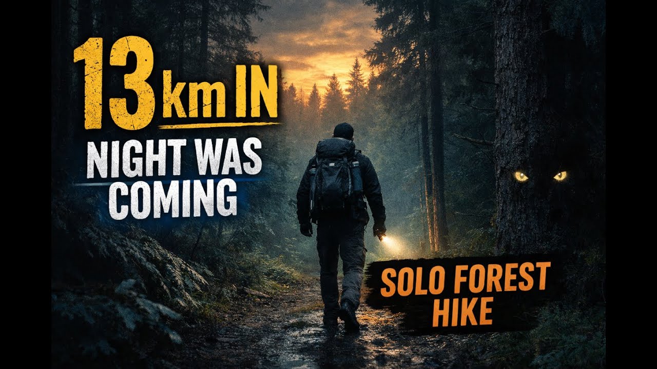 13 km In, Night Was Coming  Solo Forest Hike