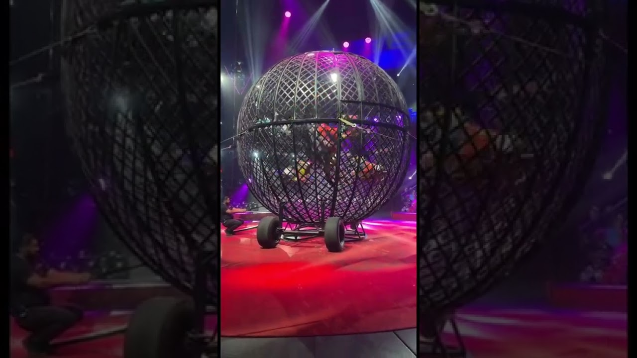 Motorcycle Stunt Cage! Circus 🎪