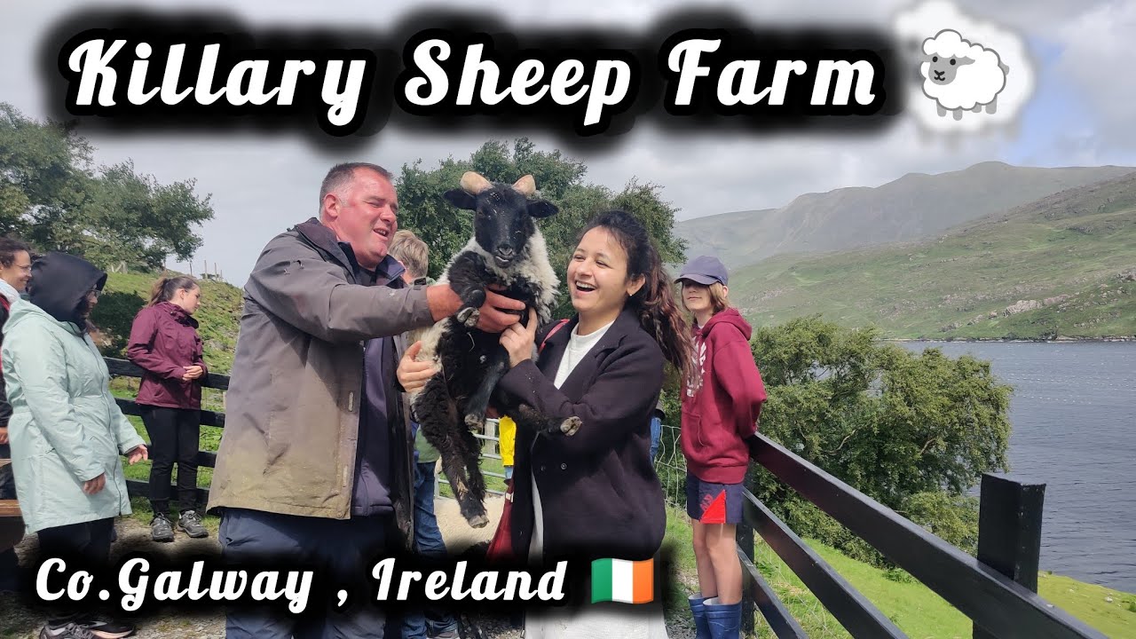 A Day at Killary Sheep Farm | Connemara, Ireland Travel Vlog | Co. Galway