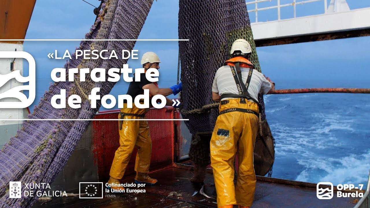 OPP7 BURELA: la Pesca de Arrastre de Fondo