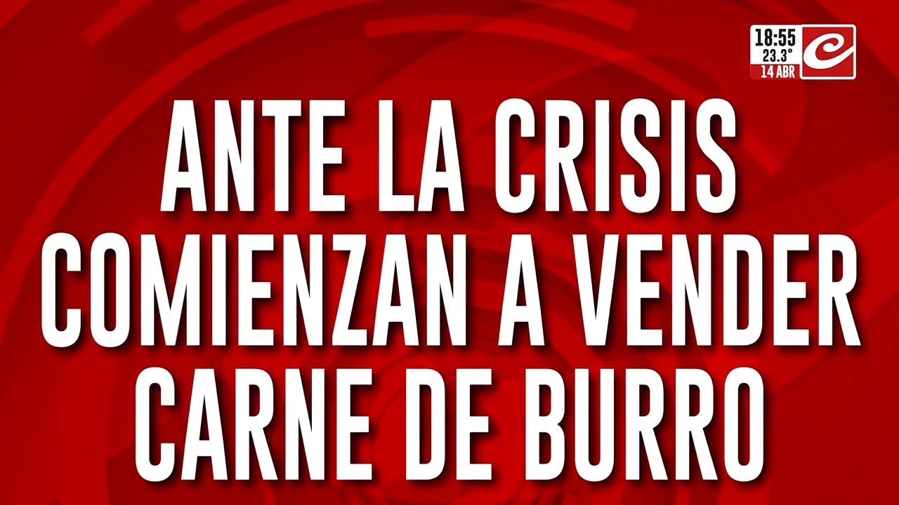 Pol&eacute;mica en Chubut: ante la crisis del consumo, comienzan a vender carne de burro