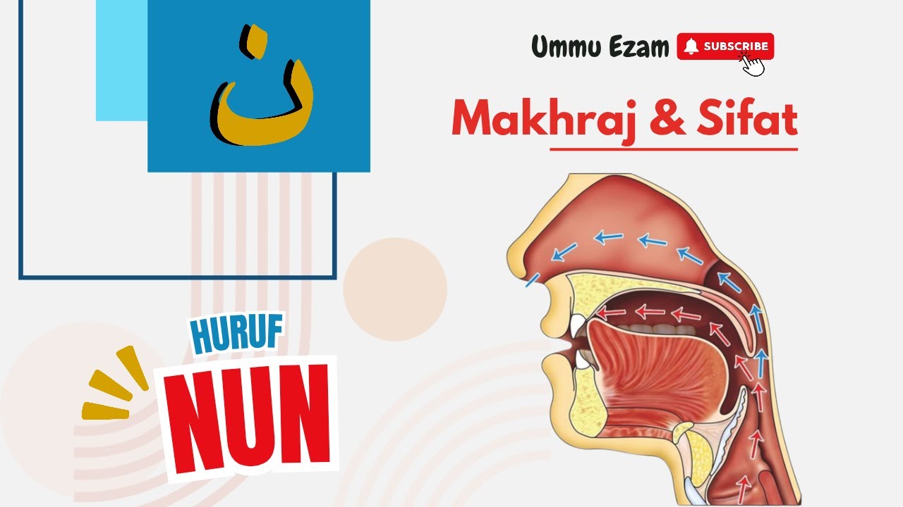 Makhraj Huruf Nun ن | #belajartahsin