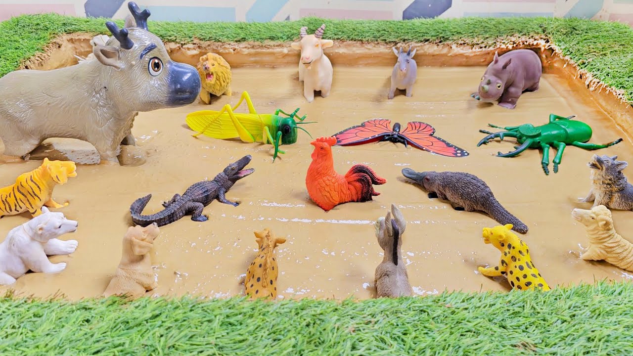 Exciting Activities to Save and Wash Amazon Jungle Animals for Toddlers