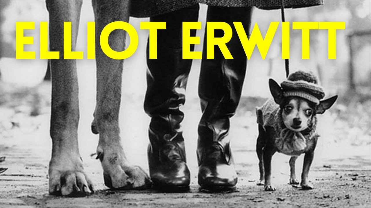 Grandes Fotógrafos #42 | ELLIOT ERWITT 🇺🇸