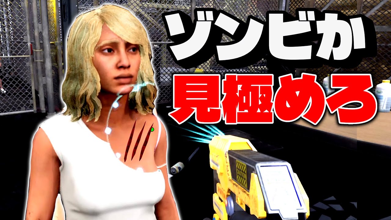 ゾンビか生存者かを検査官になって見極める神ゲー#1【quarantine zone: the last check】