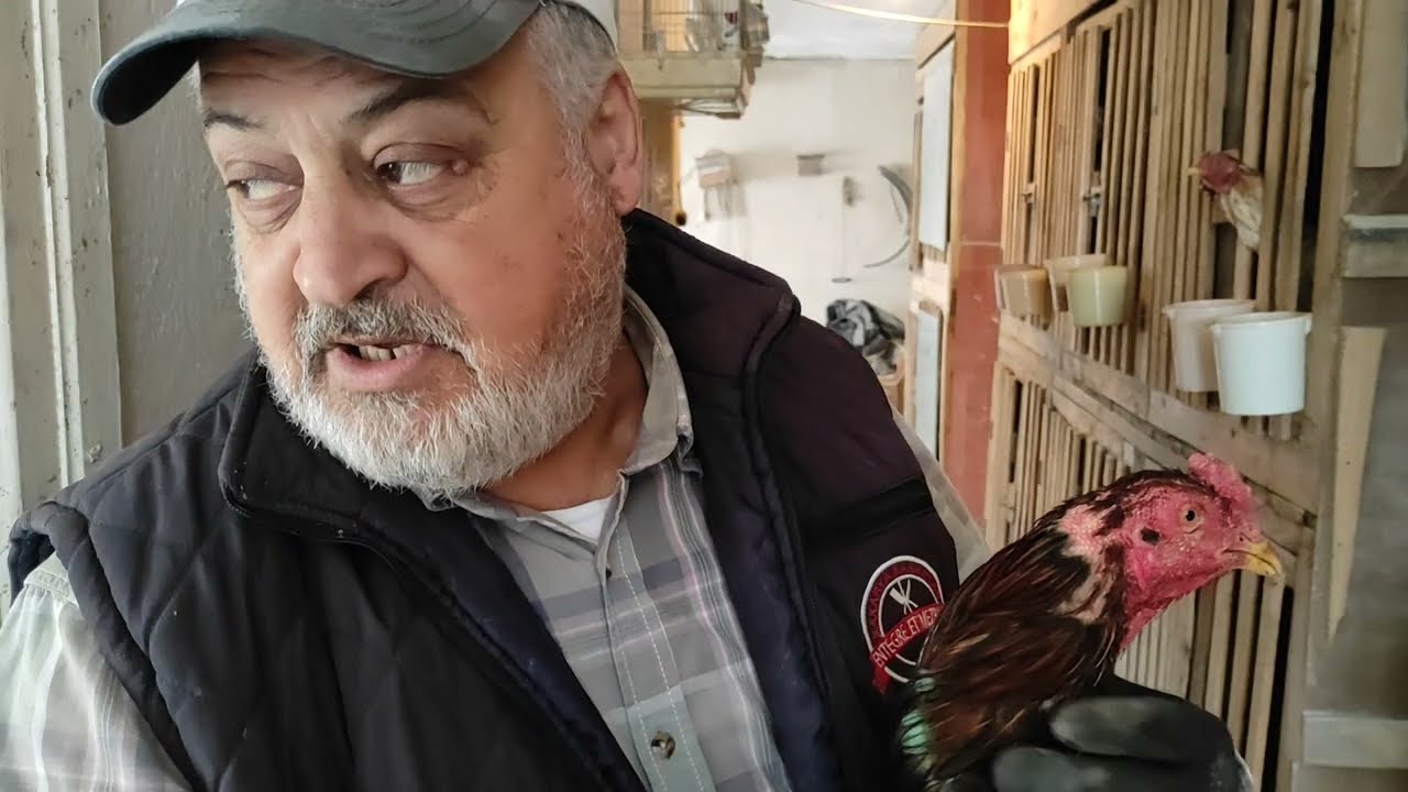 /// AĞIZDAKİ ŞİŞMELER NASIL GEÇER ///