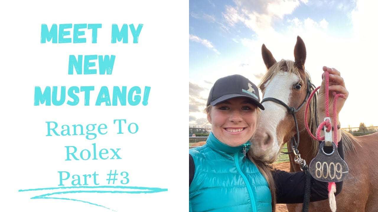 Range To Rolex Part 3 | Meet My New Mustang 