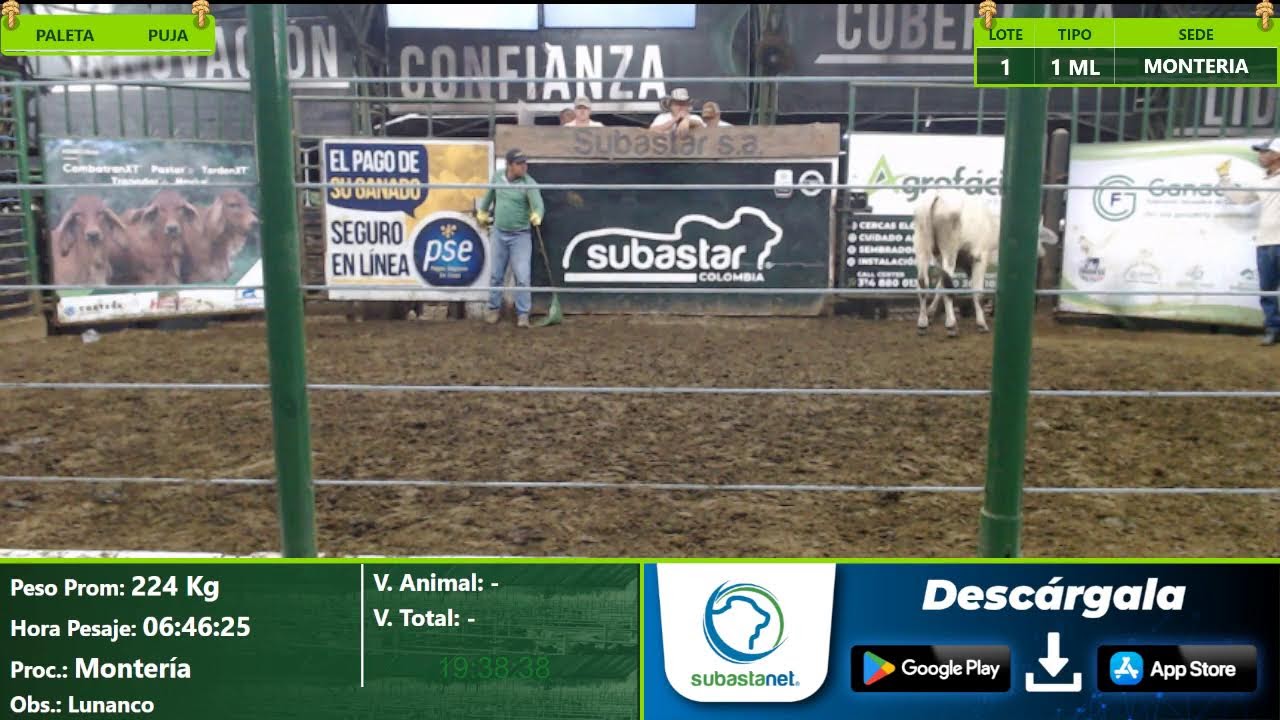 Subasta Virtual - Presencial Monteria E(8) 05-03-2026