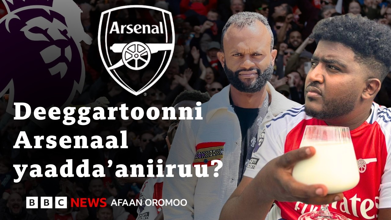 Deeggartooni Arsenaal waancaa PL irraa abdii kutaniiruu? | BBC News Afaan Oromoo