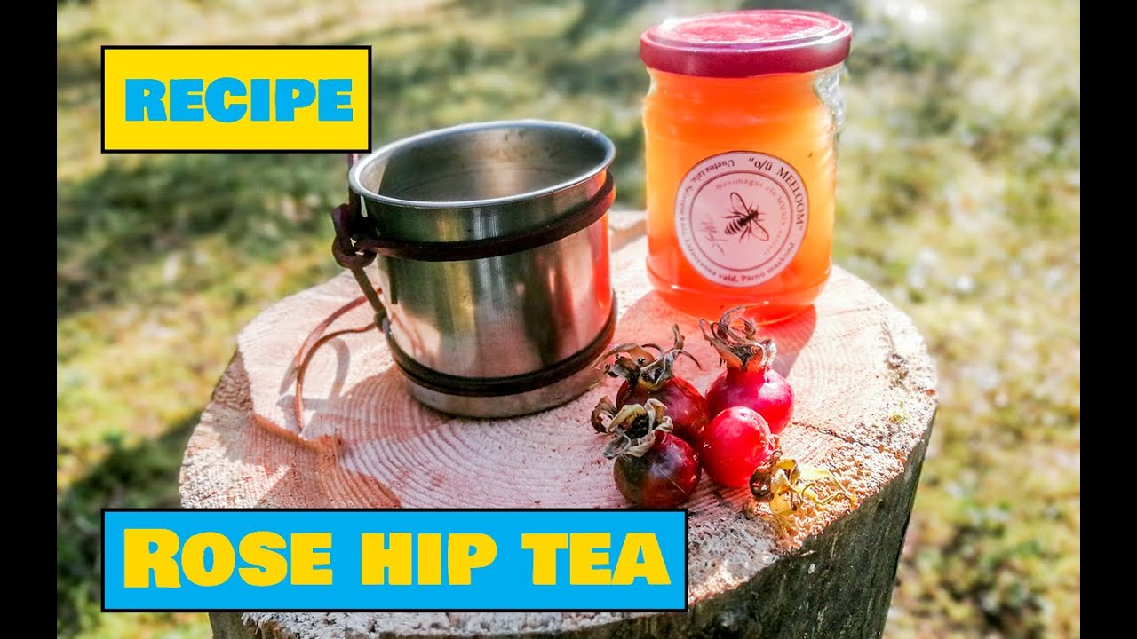 How to Make Wild Rose Hip Tea - Easy Outdoors Drinks
