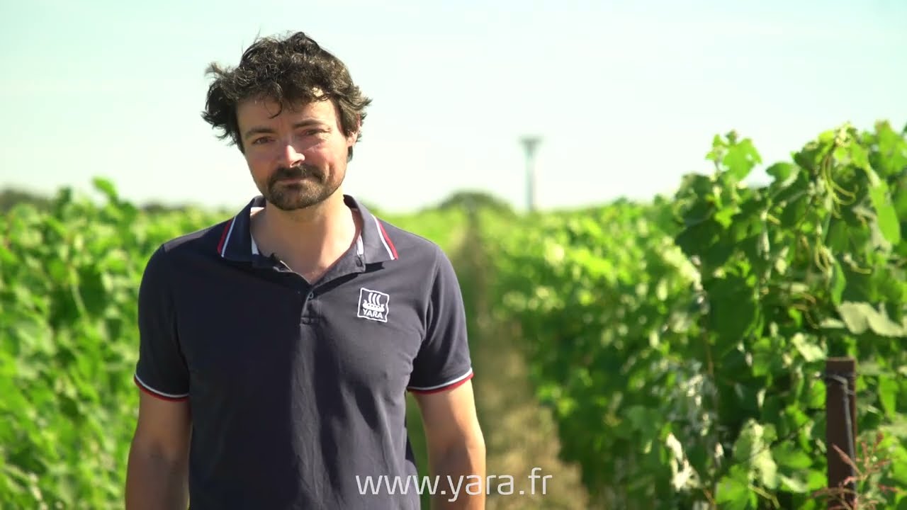 Yara Rega, la gamme NPK soluble adaptée à la fertigation