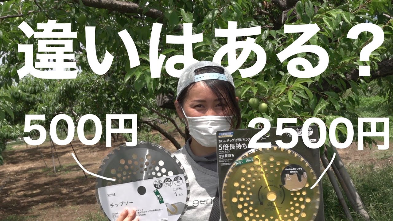 【価格の差は？】実際にチップソー500円と2500円を使っていったら、予想通りの結果になった！-初心者向け-