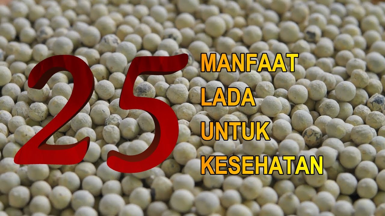 Masya Allah, Inilah 25 Manfaat Lada untuk Kesehatan dan Kecantikan