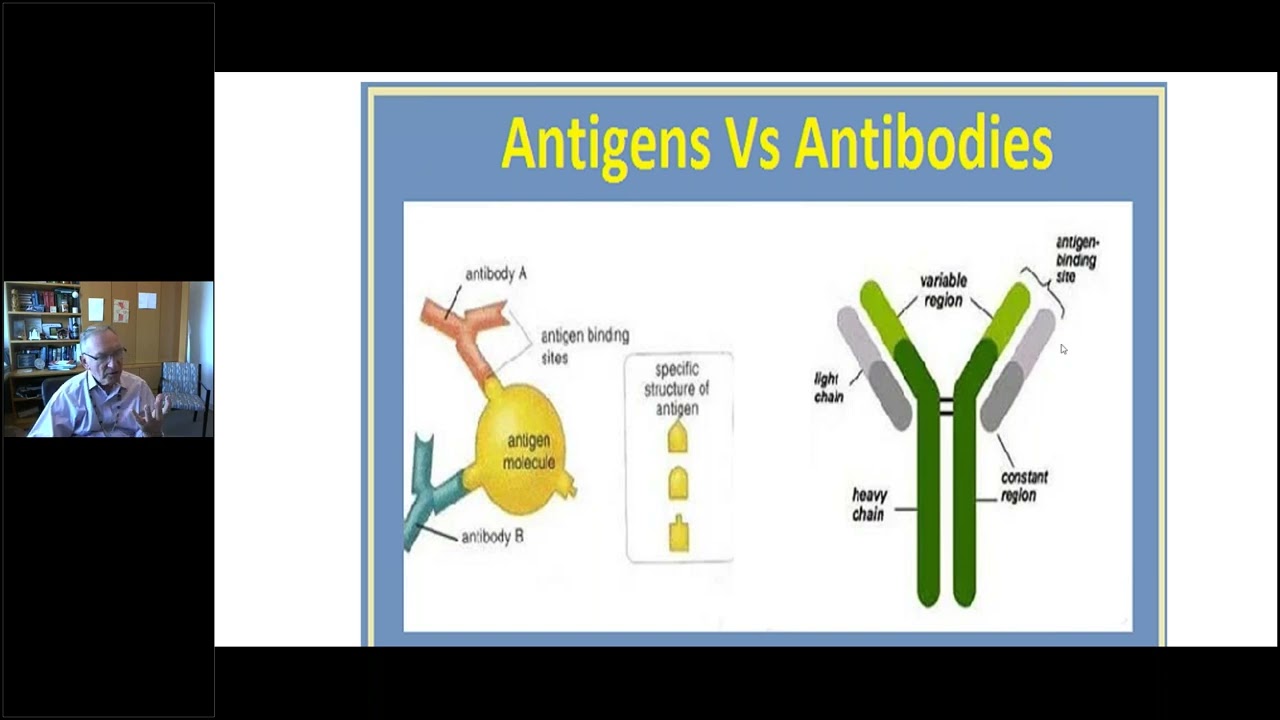 FPN Webinar: Anti MAG Peripheral Neuropathy: An Overview with Dr  Richard Lewis, MD