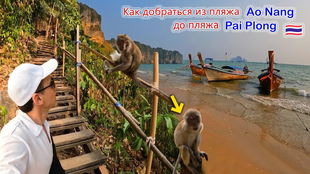 Тропа обезьян на пляже Ао Нанг. Краби.🐒🇹🇭
