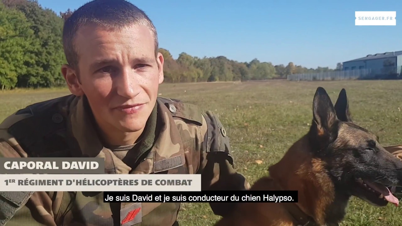 Interview Maître de chien au 132e bataillon cynophile de l'armée de Terre (132e bcat)
