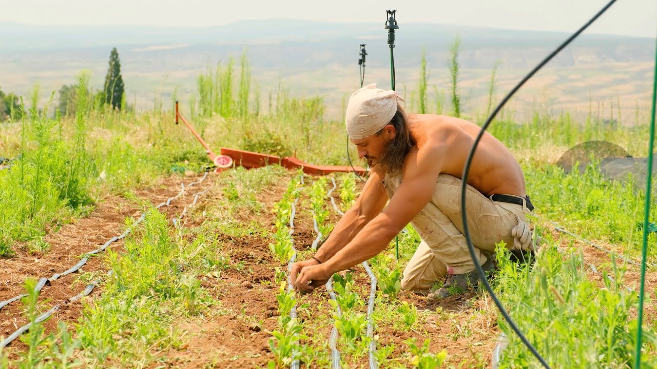 A Day In The Life On An Organic Farm In Colorado