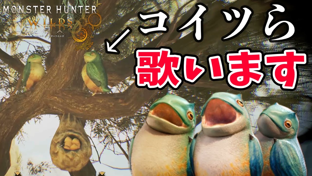 【ワイルズ環境生物】アワウタイズクの子育て観察【4K映像】