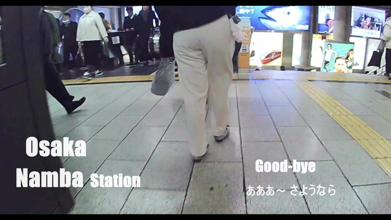Osaka Namba Station　あああ～さようなら　Good^bye