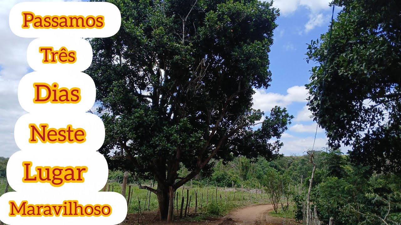 Passamos dois dias neste lugar maravilhoso 