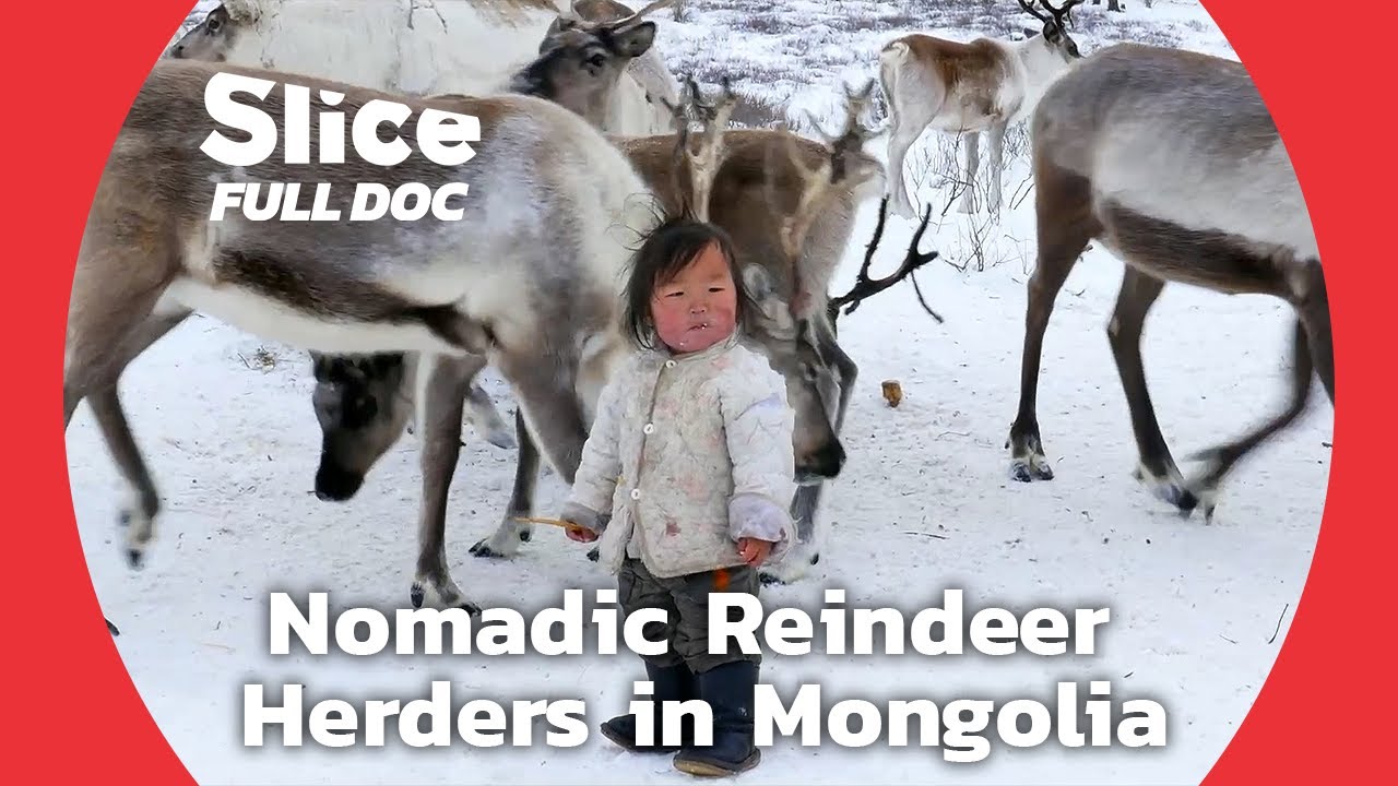 Compulsory Schooling, an Upheaval in Nomadic Culture | FULL DOCUMENTARY
