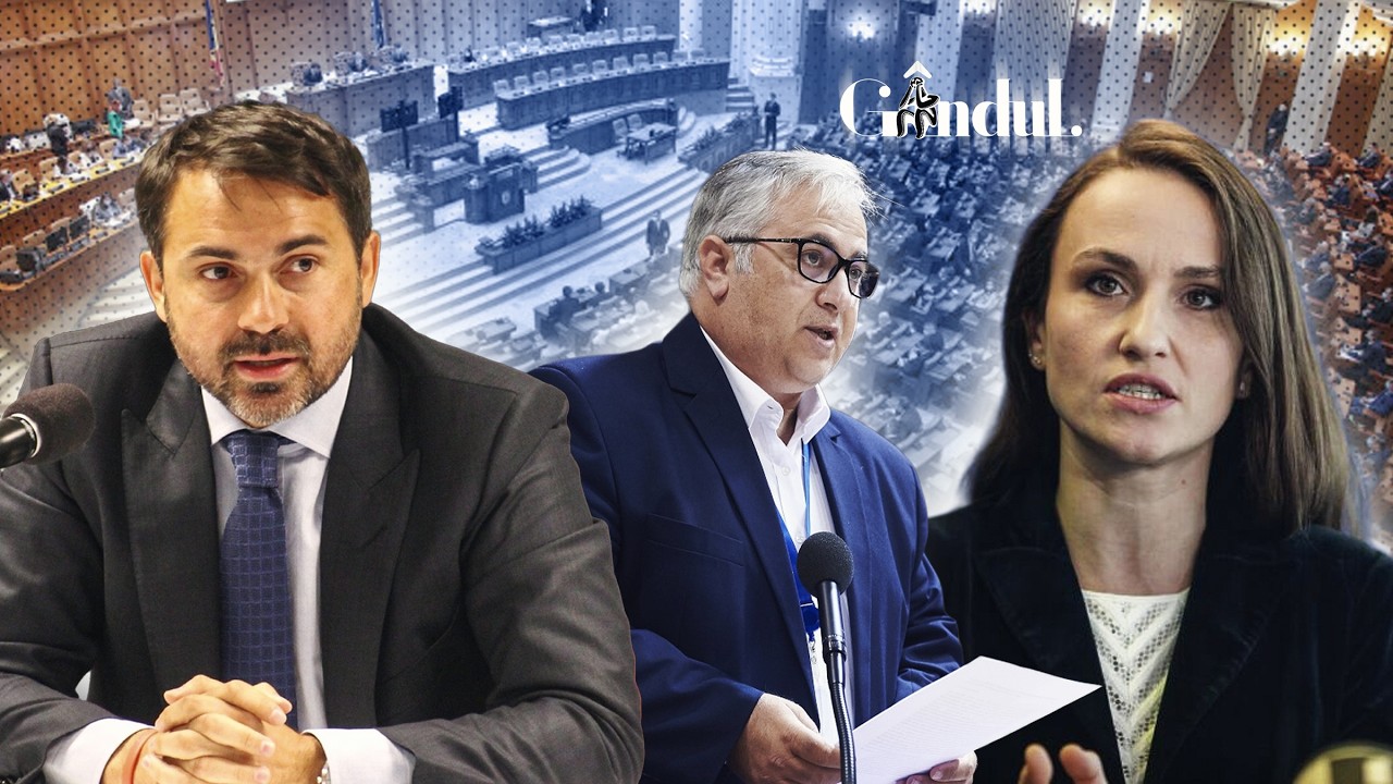 Ожидается, что Оана Цою на слушаниях в Комитете по внешней политике заявит: «Мы хотим выяснить, к...