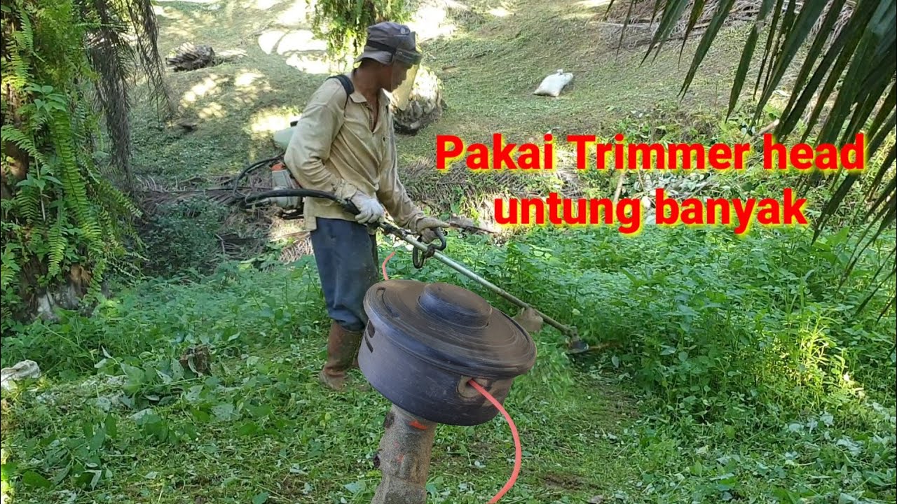 Selalu memakai Trimmer head, Ini alasannya...