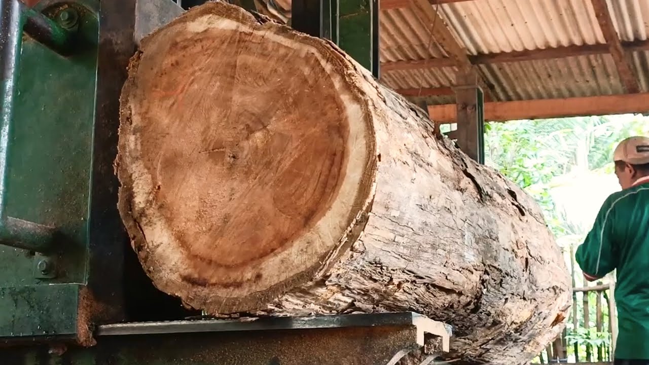 The most beautiful Extreme Sawmill in the sawmill | Brutal Vertical Saw Cutting Skills