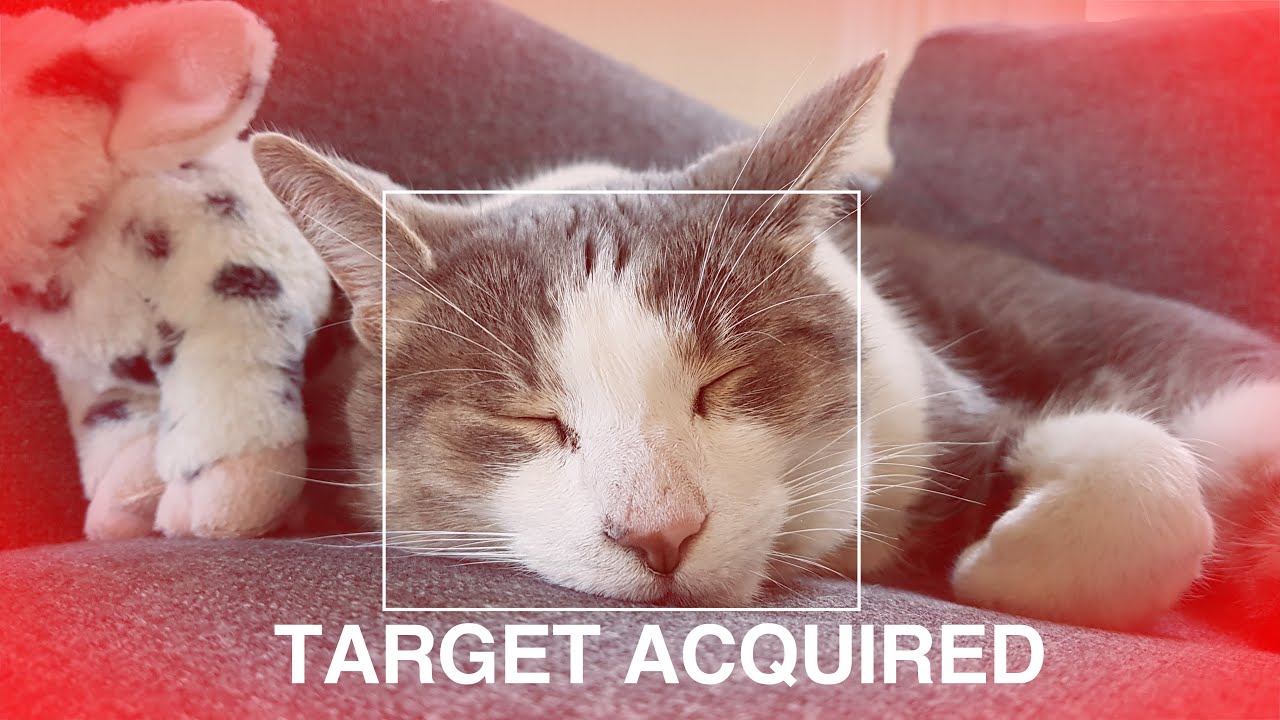 Cat Laser Robot - OpenCV