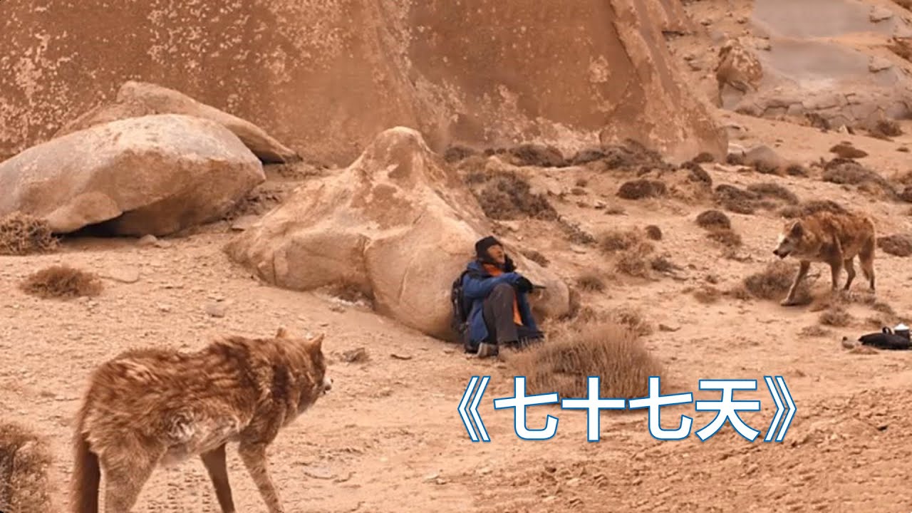 徒步穿越无人区，方圆上千里空无一人，身边还有两头饿狼