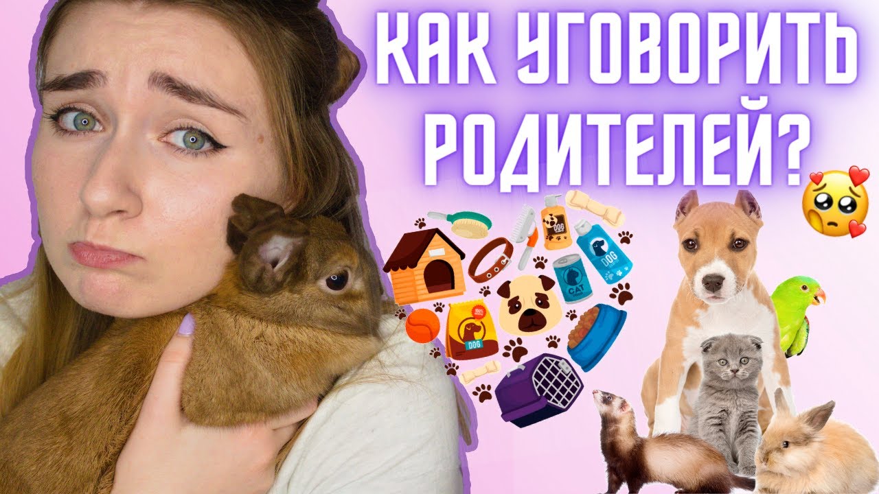 КАК УГОВОРИТЬ РОДИТЕЛЕЙ КУПИТЬ ПИТОМЦА? Кошку Собаку Крысу Хомяка / ЛАЙФХАКИ КАК УГОВОРИТЬ РОДИТЕЛЕЙ