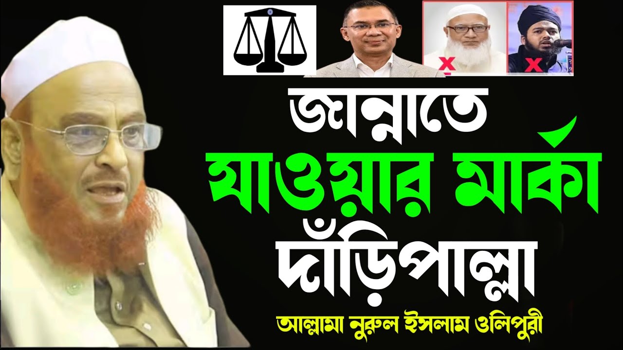 জান্নাতে যাওয়ার মার্কা দাঁড়িপাল্লা।।আল্লামা নুরুল ইসলাম ওলিপুরী
