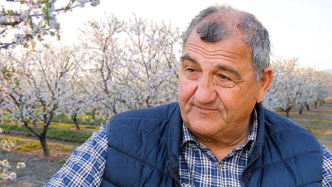 Άφησε την Αθήνα και βρήκε τη ζωή του στις αμυγδαλιές